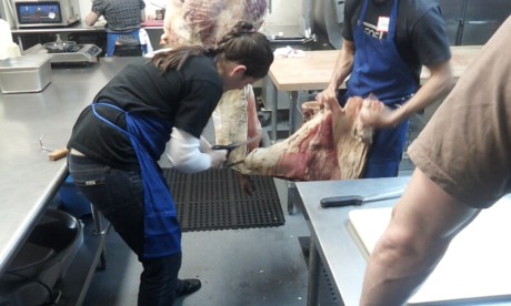 Kristen getting busy!